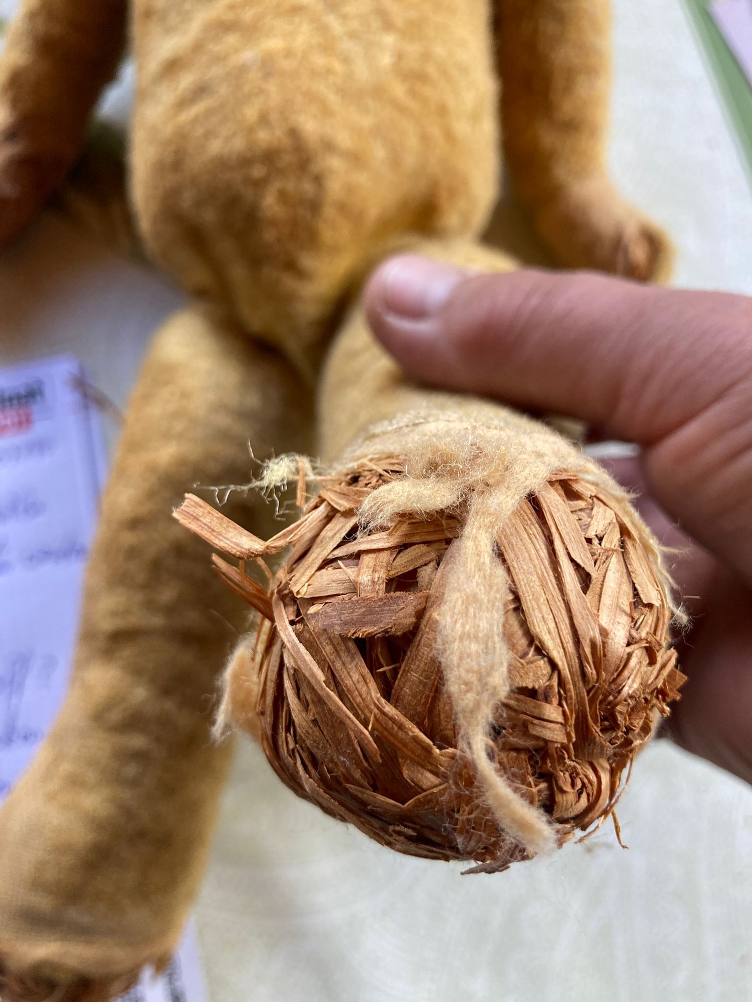 Teddybär-Pfote mit Holzwolle – Detail der Teddyrestaurierung